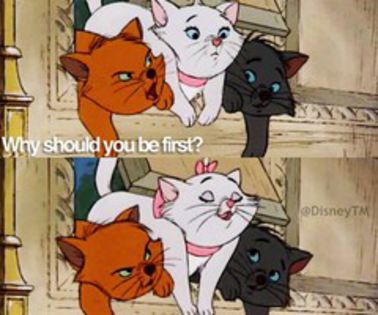 784cad546bbc11e28c8422000a1f931c_7_thumb