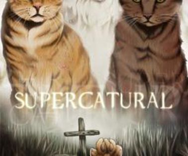 250632_149532291868148_1313448357_n_thumb