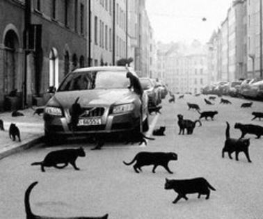 528877_389192621177133_1911982033_n_thumb