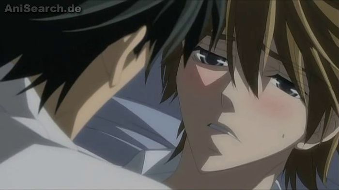 miyagi and shinobu 3 - Junjou Romantica