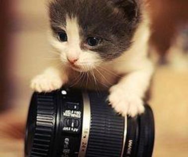 Just-for-better-a-day-33_thumb