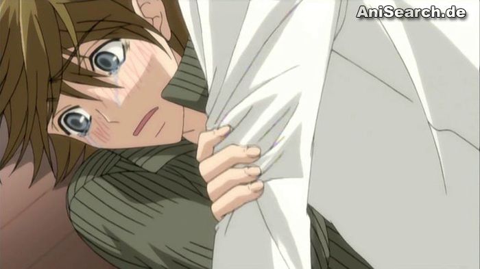 shinobu 7 - Junjou Romantica