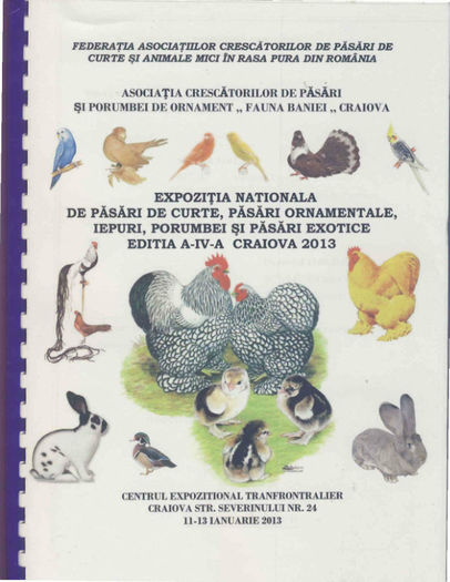 Catalog Craiova 2013