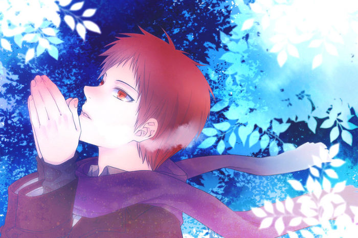 Akashi.Seijuurou.full.1411865