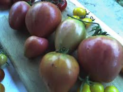 tomate inima de bou - LEGUME 2012