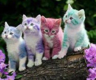 tumblr_mhll7fZ32d1qfcow1o1_400_thumb