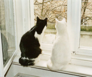 tumblr_mh08zlakL51qfffyto1_1280_thumb