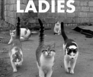 tumblr_mgvuz5CdKz1riy116o1_500_thumb