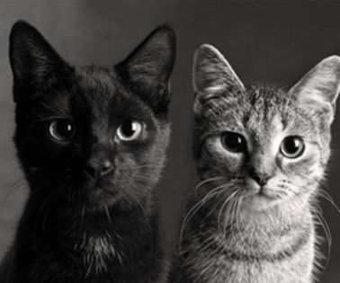 tumblr_mhlg5fVxhv1rkuxfro4_500_thumb