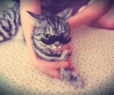 381411_2194552992867_333580139_n_thumb