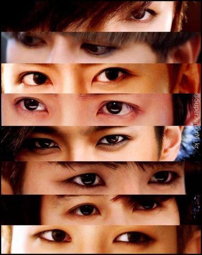 > Super Junior Eyes < - x_Korean eyes