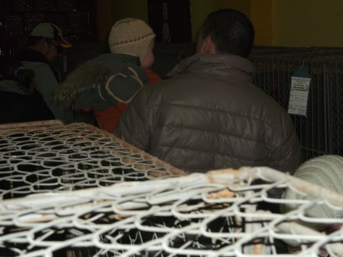 TINERET IN BRATELE PARTIDULUI TINERET IN BRATELE PARTIDULUI