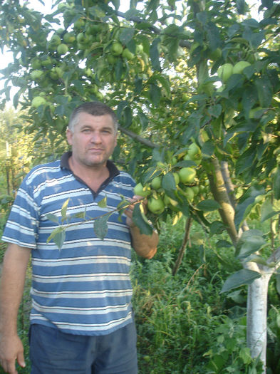 taicamiu..; taicamiu...in urma cu vreo 10 ani a avut inspiratia sa sadeasca vreo 3 meri in gradina, sadind mai tarziu in mintea mea mii de pomi
