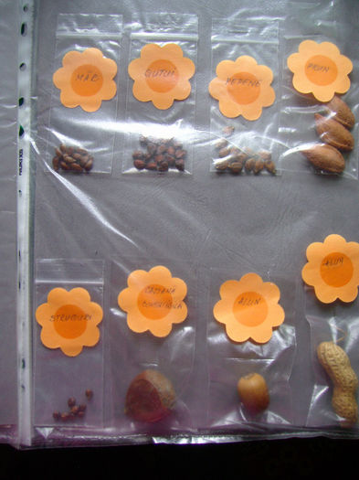 colectie de seminte - Insectare si ierbare