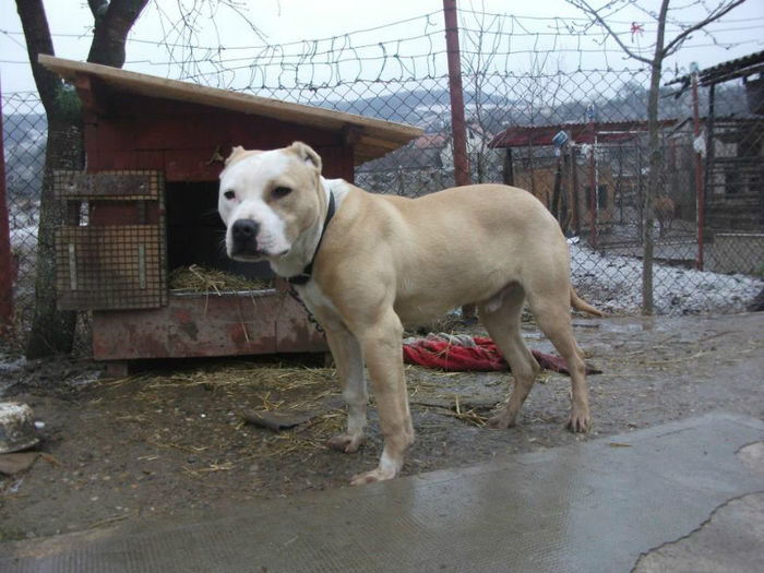 19130_355889871184565_1191595168_n