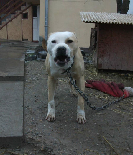 227700_355889894517896_1234652062_n