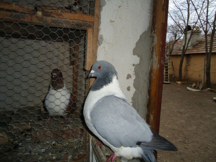 DSC03937