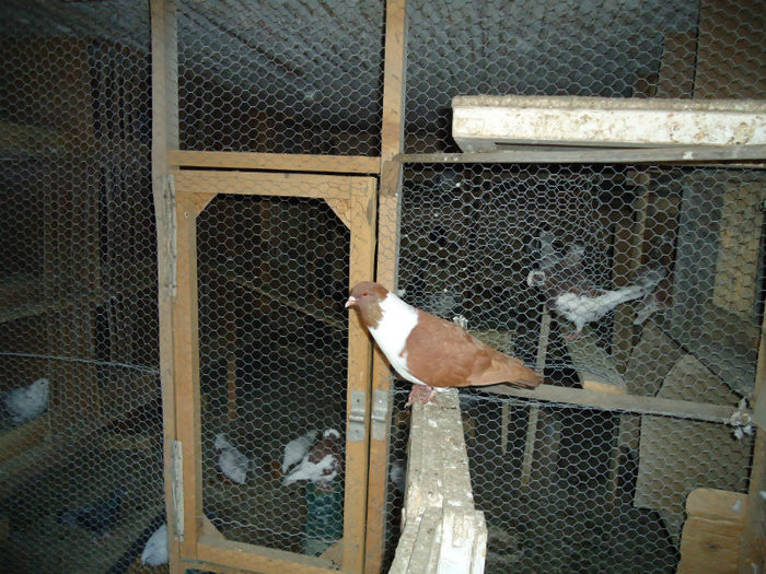 DSC03962