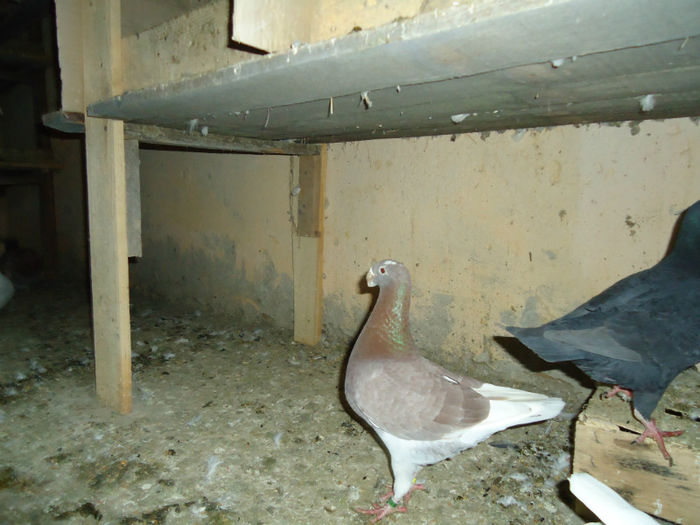 DSC03967