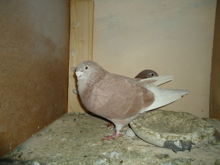 DSC03969