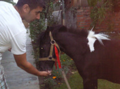  - Primul meu ponei