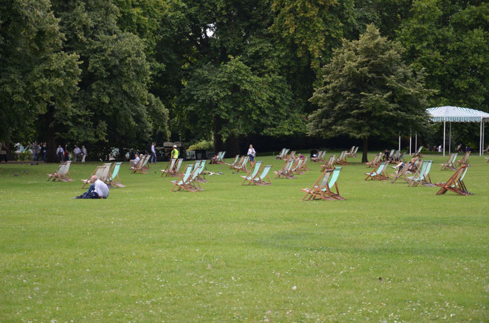 DSC_1858 - Veveritele din St James Park London