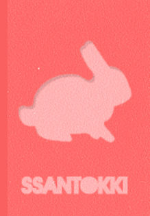 ssantokki - DARA-Sandara Park