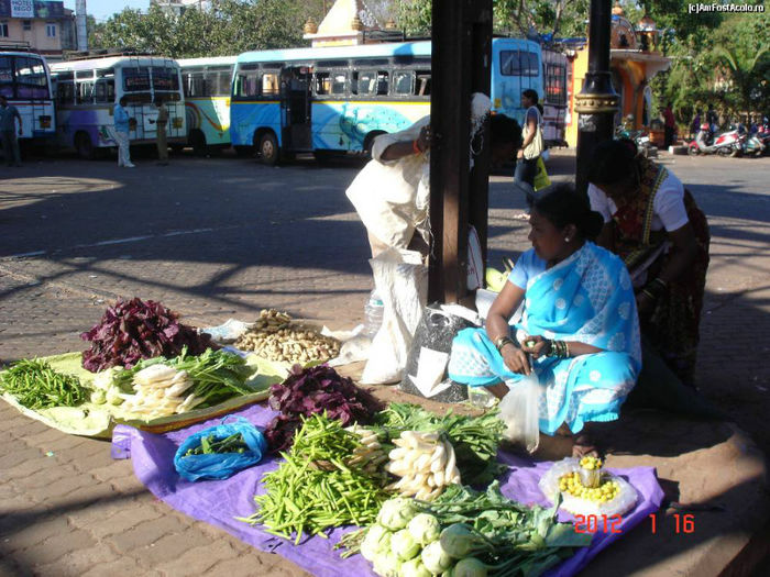 jaipua_taraba zarzavaturi - POZE INDIA