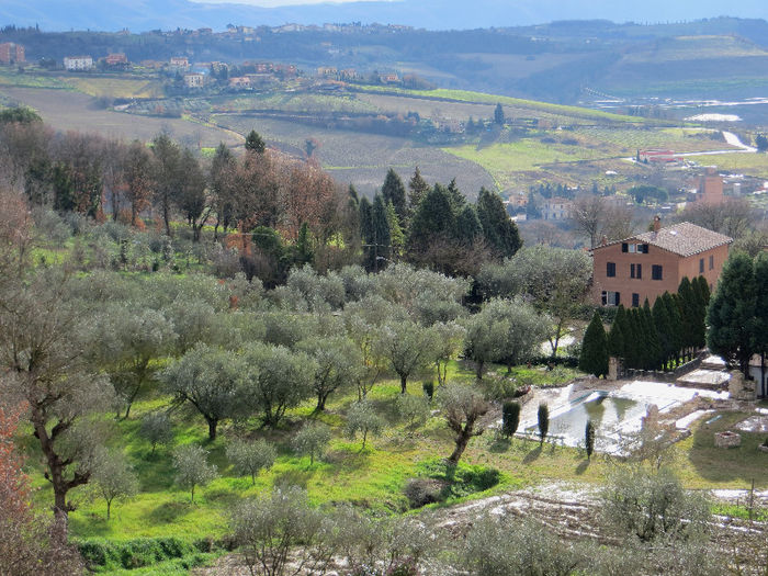 IMG_0088 - NORI SI UN PETIC DE LUMINA