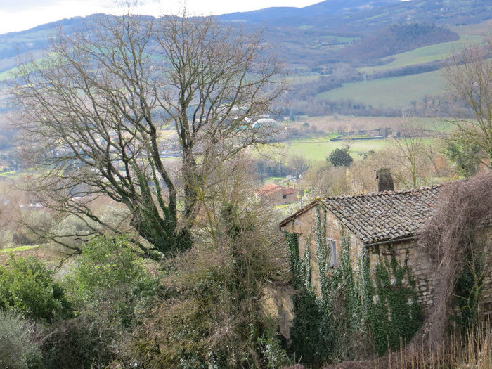 IMG_0094 - NORI SI UN PETIC DE LUMINA