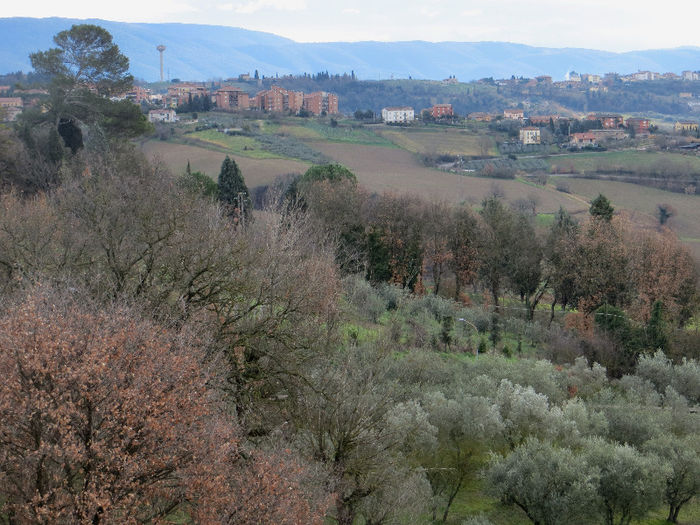 IMG_0099 - NORI SI UN PETIC DE LUMINA