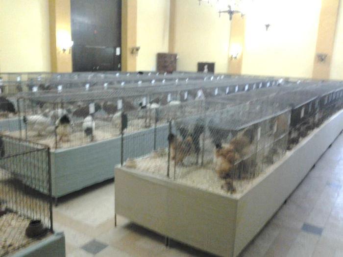 2013-02-03 09.35.28