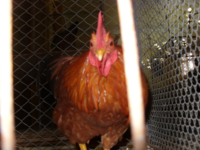 SN854849