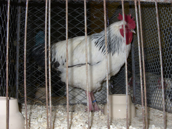 SN854863