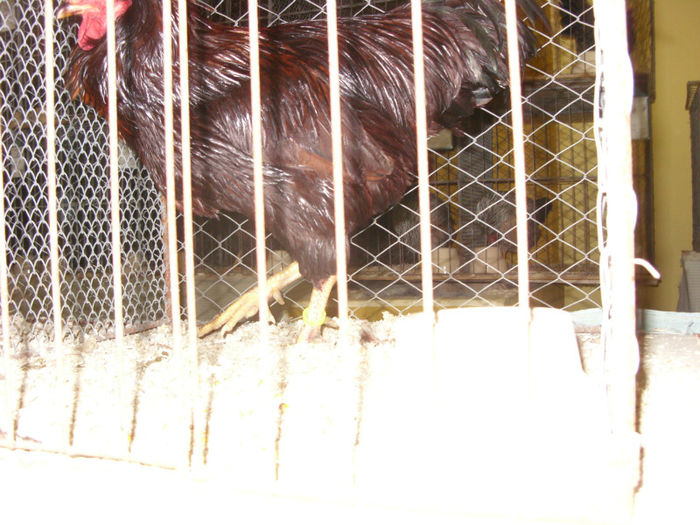 SN854873
