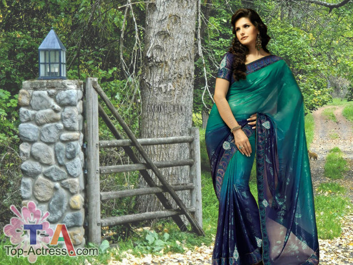 Zarine-Khan-HD-Wallpapers-1