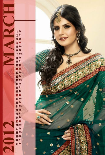 zarine_khan_hot_saree_stills_for_2012_calendar_3