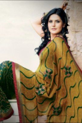 bollywood_actress_zarine_khan_hot_in_saree-t2 - ZARINE KHAN 1