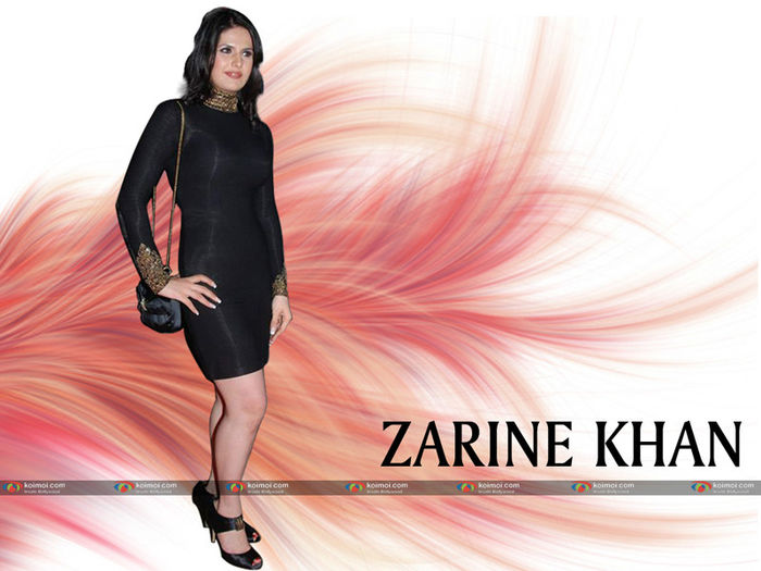 Zarine-Khan-Sexy-Wallpaper - ZARINE KHAN 2