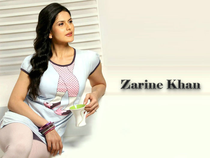 zarine_khan_simple-normal