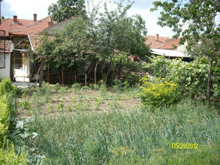 Gradina noastra 2012 - DIVERSE