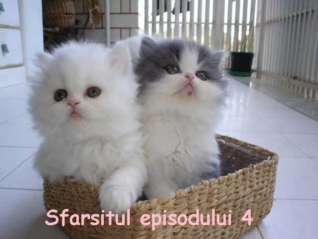 Sfarsitul episodului 4