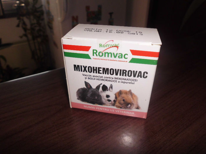 vaccin romanesc - iepuri