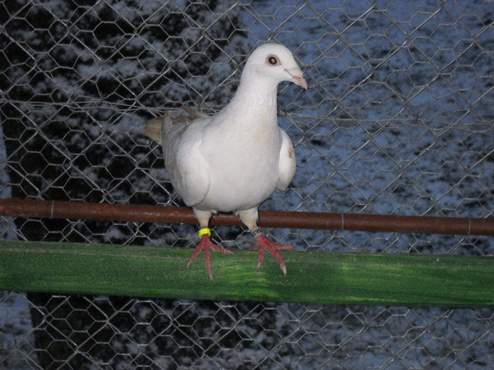 DSCN0042
