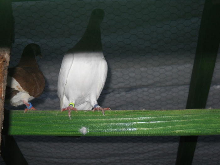 DSCN0043