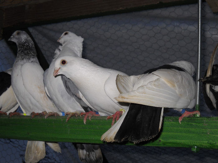 DSCN0046