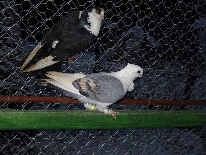 DSCN0056