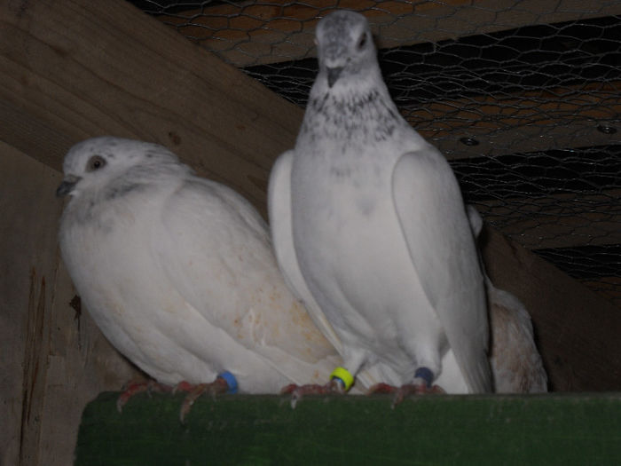 DSCN0065