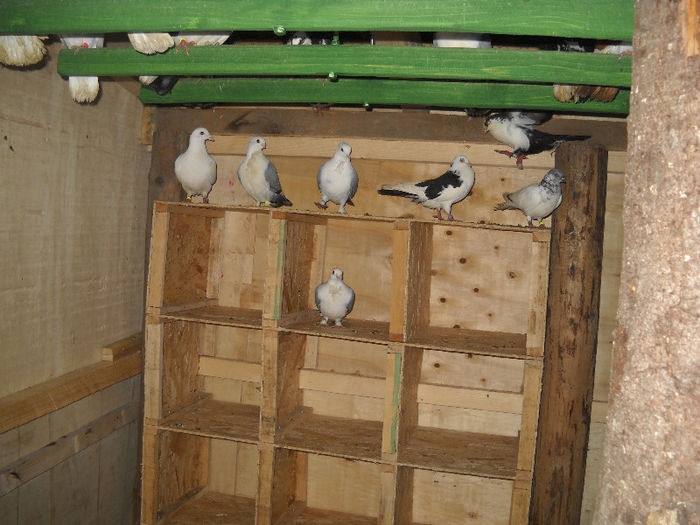 DSCN0069