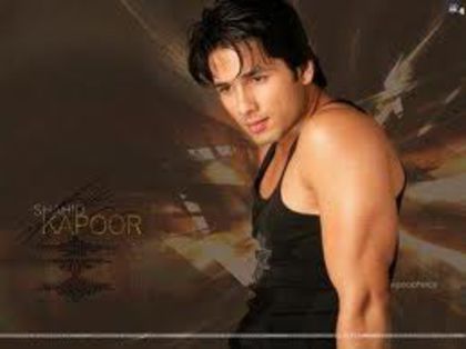 imagesCAD6CE9A - Shahid Kapoor _poze